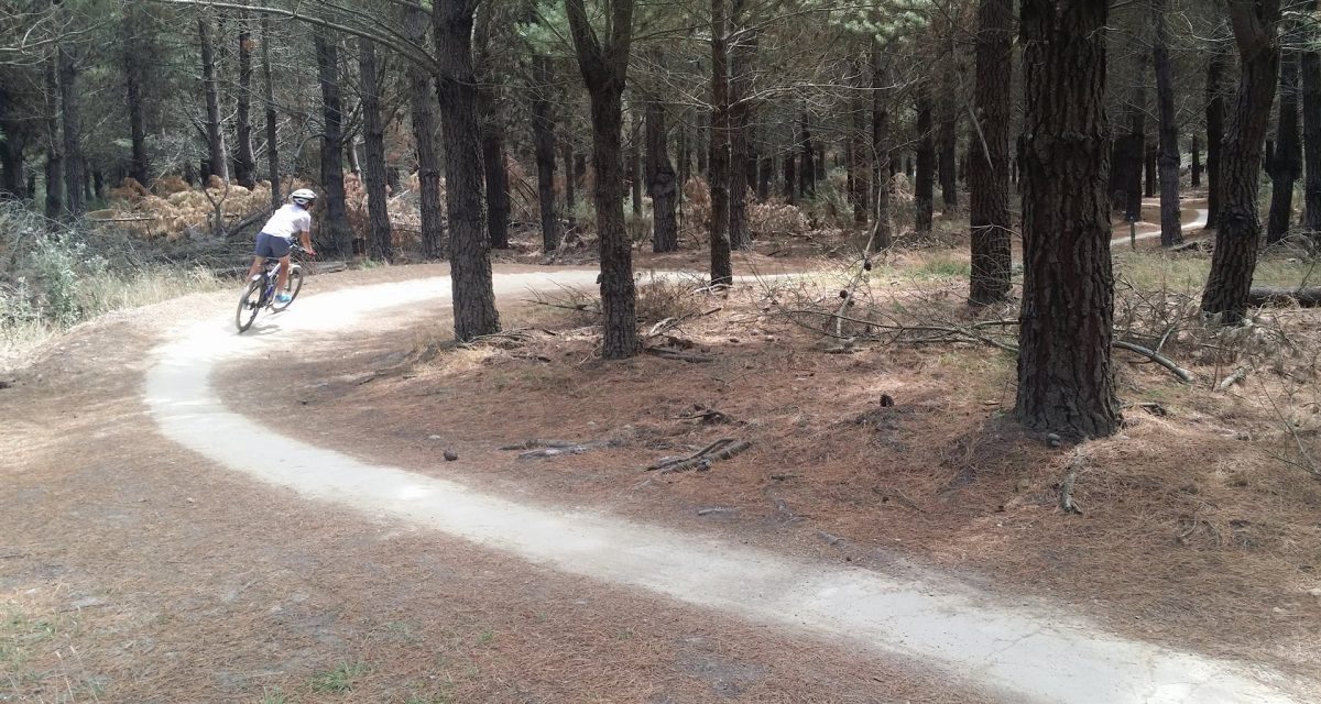 McLeans Forest – Cycling in Christchurch