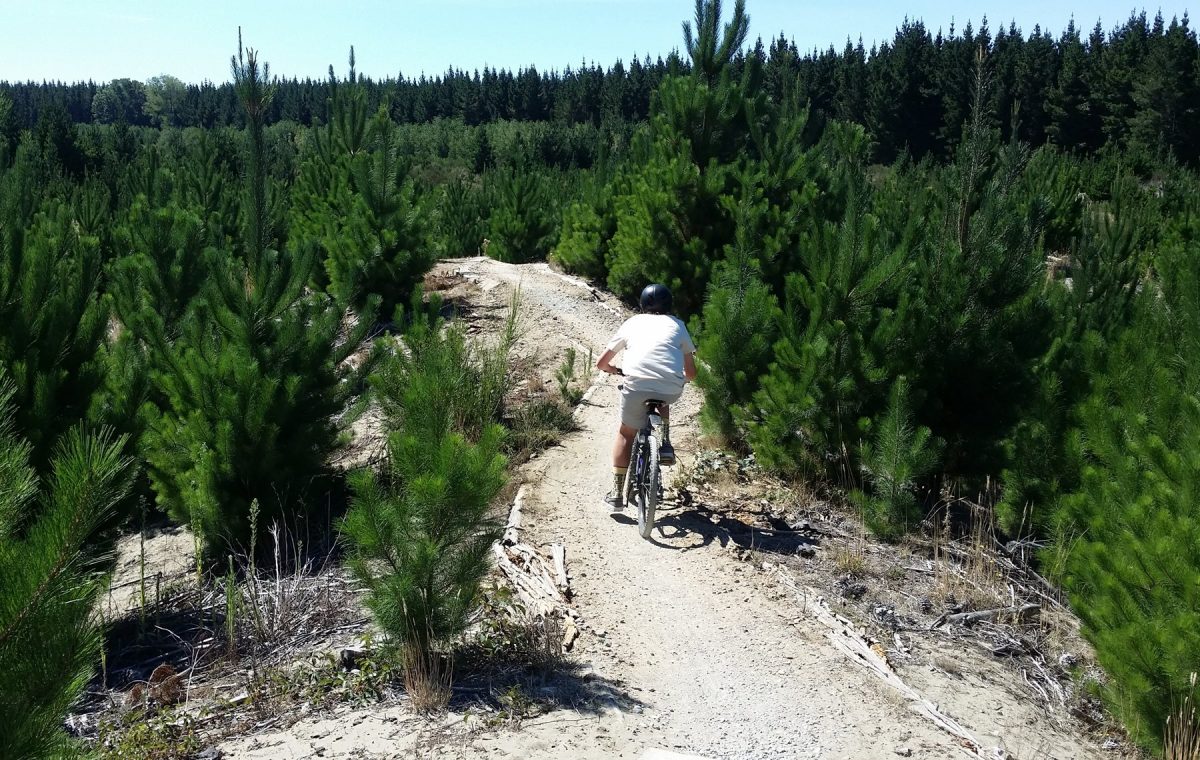 Bottle Lake Forest Mtb Track Map Hidden Treasures: Bottle Lake Forest Park – Cycling In Christchurch