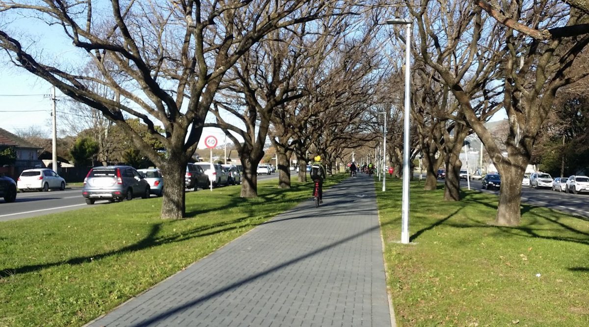 Cycling in Chch 2018: when bikes were counted and countered
