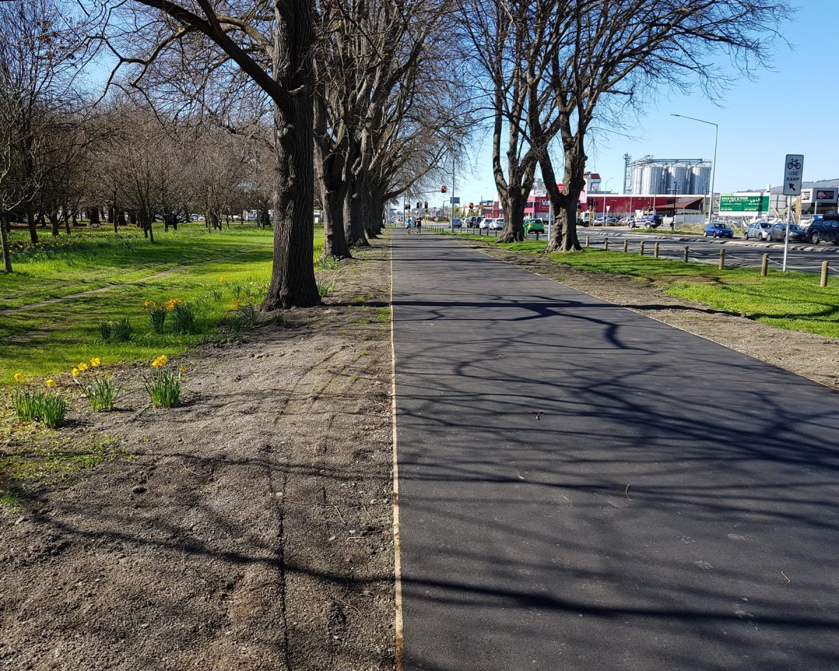 Photo of the Day: South Hagley Park perimeter path