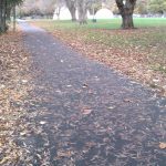 Flashback Friday: Pathway Leaves – A Menace for Cycling?