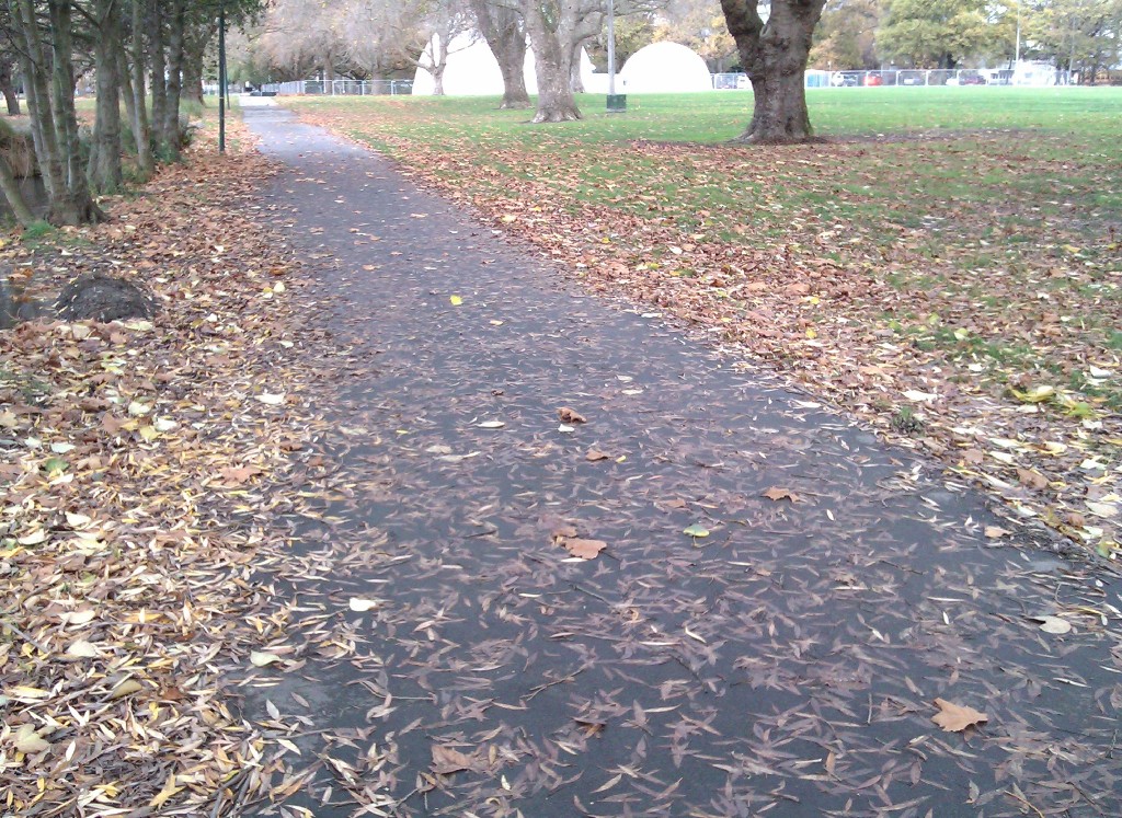 Pathway Leaves – A Menace for Cycling?