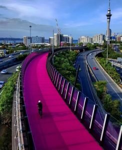 Follow the pink cycleway into Auckland (c/ willduadua)