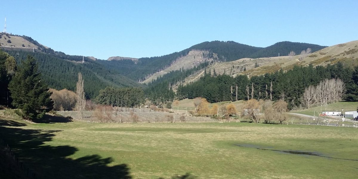 Photo of the Day: Chch Adventure Park Progress