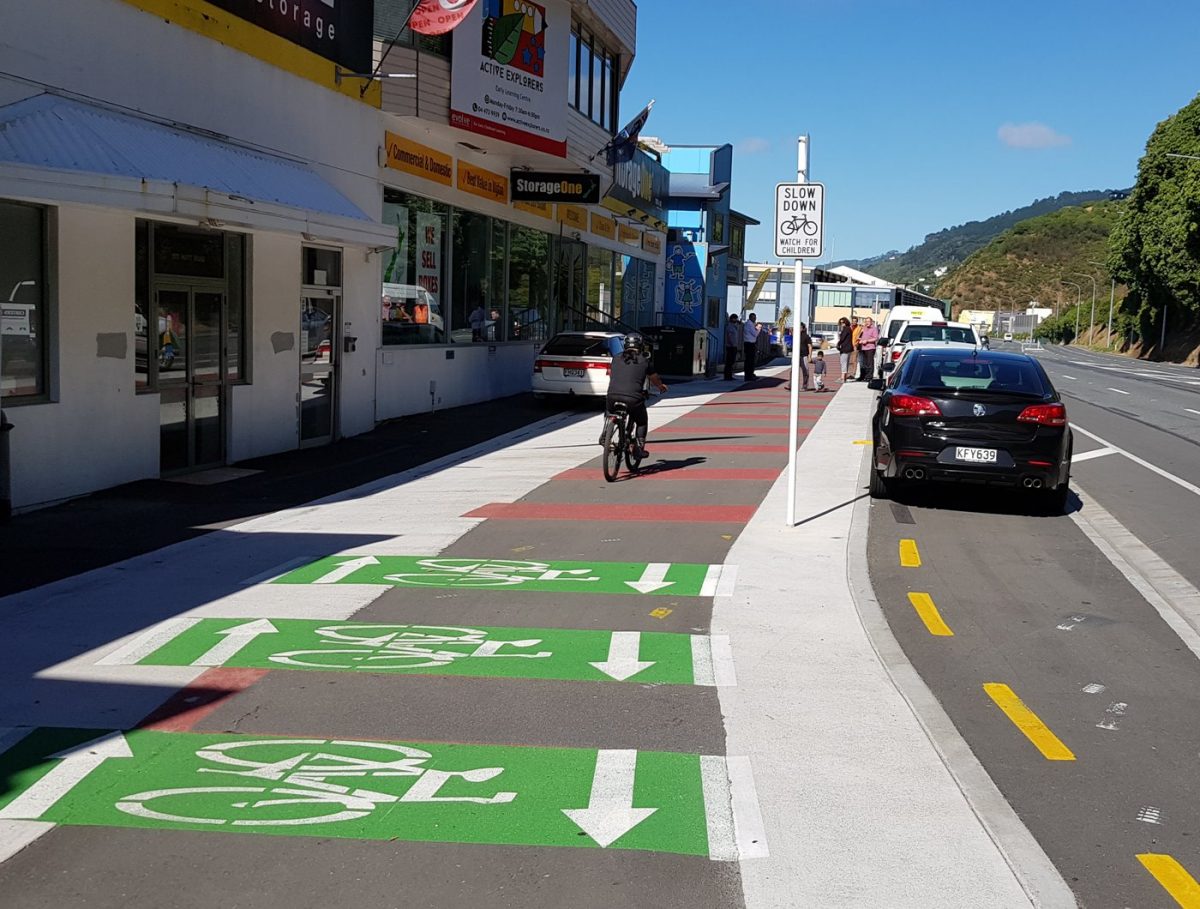 Photo of the Day: Wellington Hutt Road cycleway