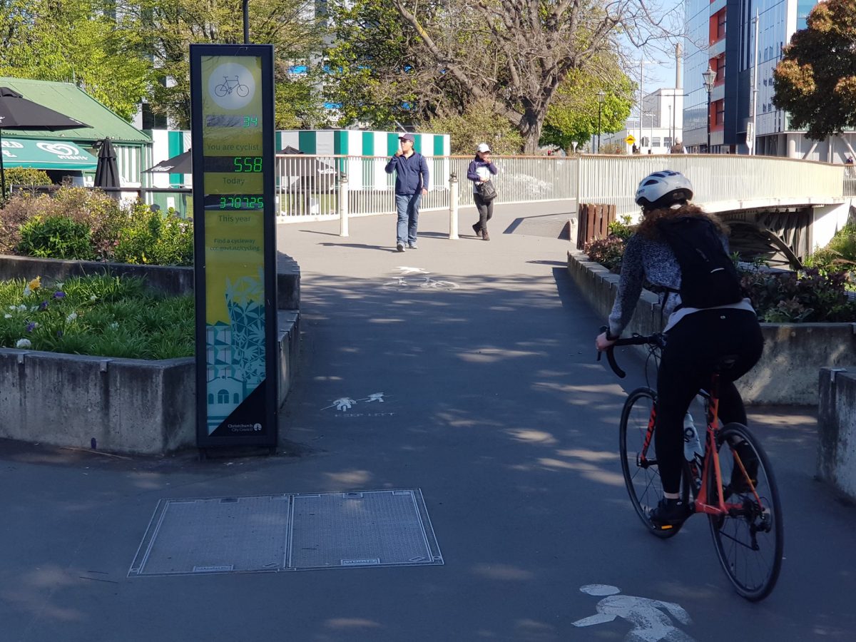 Do cycle counters only count bikes?