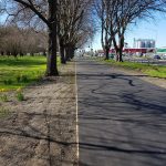Flashback Friday Photo of the Day: South Hagley Park perimeter path