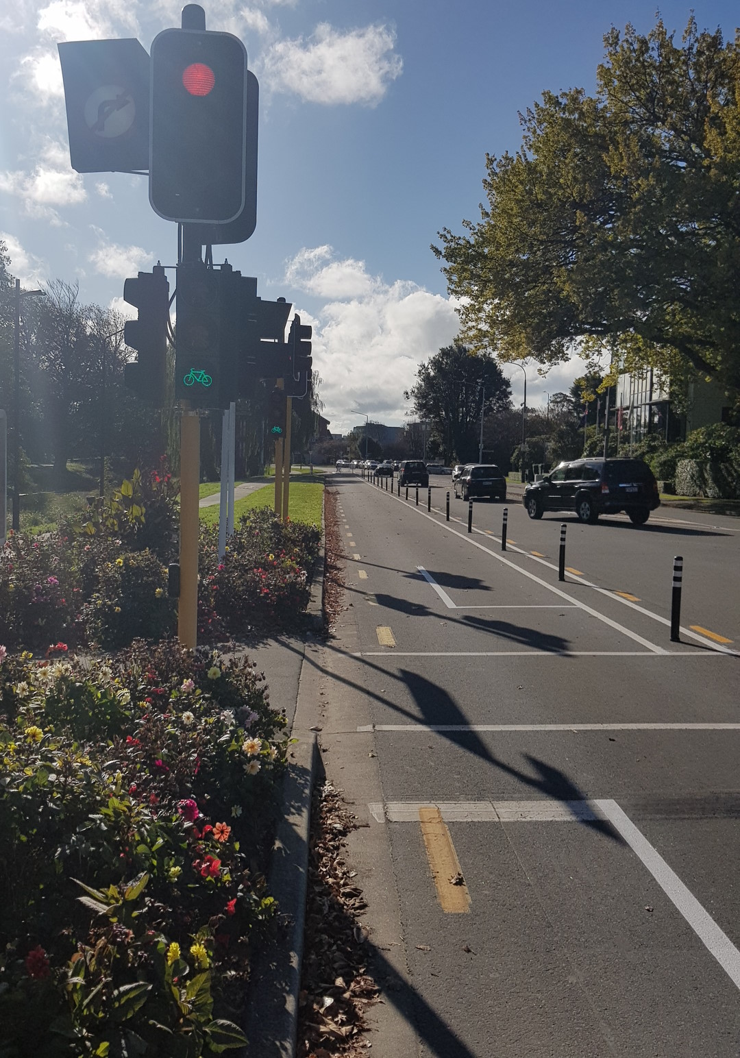 Cycling in Chch 2023 in Review: The Good, the Bad, the in-Between