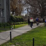 Photo of the Day: Rolleston Ave (former) shared path
